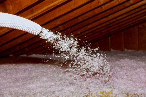 Best Insulation Maintenance and Repair in Glendale, AZ