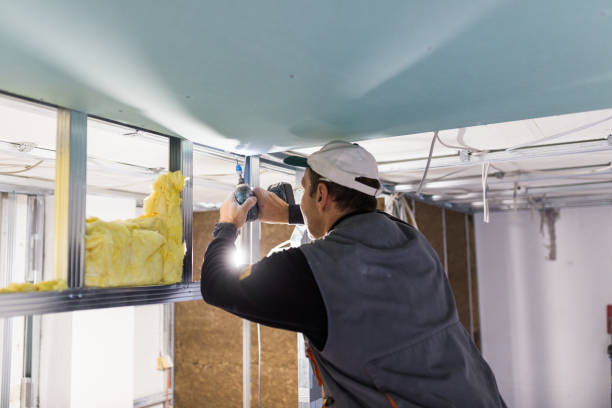 Types of Insulation We Offer in AZ