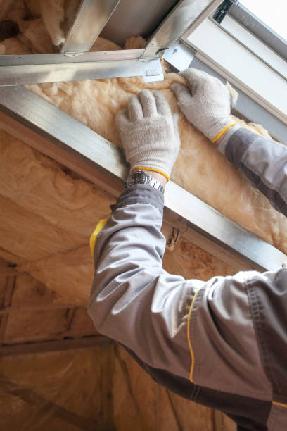Best Residential Insulation in Glendale, AZ
